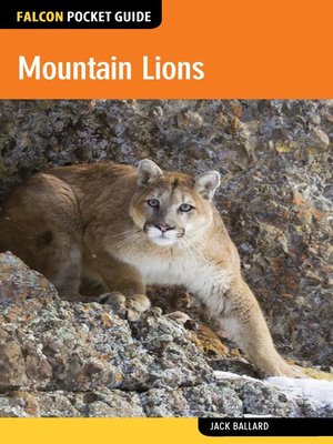 cover image of Mountain Lions